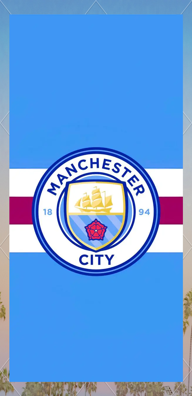 曼联可能在夏季签下安德森，但冬季转会窗口未有进展，转会市场竞争激烈。