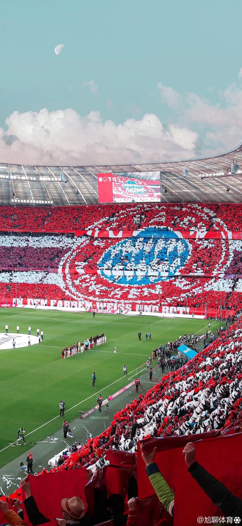 挪威中场：意大利没展现出对世界杯的渴望，他们似乎缺少热情